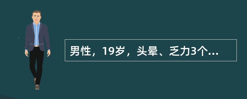 男性，19岁，头晕、乏力3个月，Hb58g/L，WBC3.8×109／L，血小板