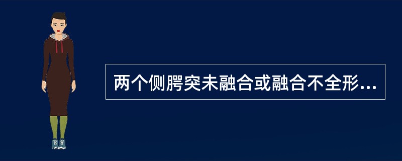 两个侧腭突未融合或融合不全形成（）