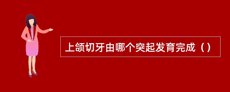 上颌切牙由哪个突起发育完成（）