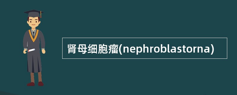 肾母细胞瘤(nephroblastorna)