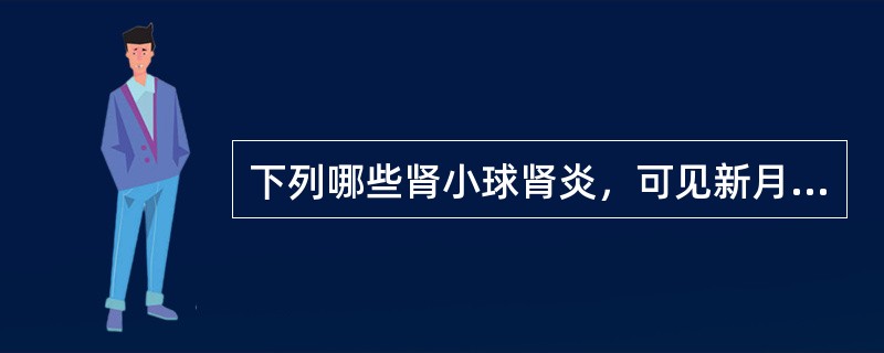 下列哪些肾小球肾炎，可见新月体形成()