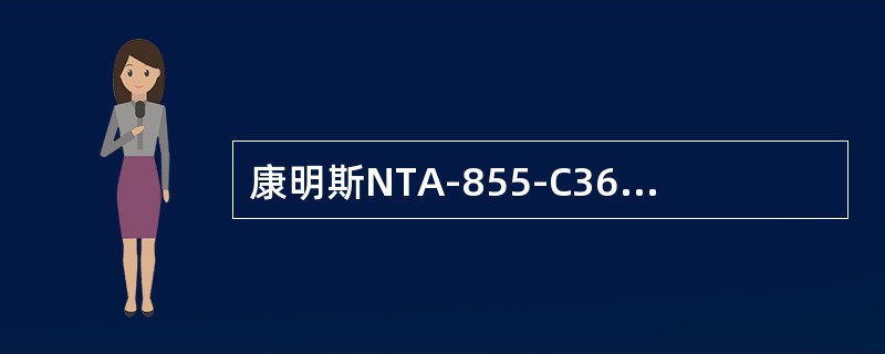 康明斯NTA-855-C360发动机，字母A表示（）。