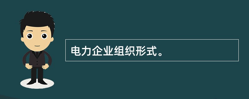 电力企业组织形式。