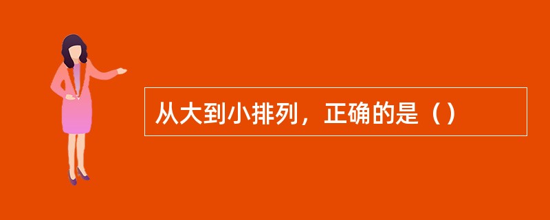 从大到小排列，正确的是（）