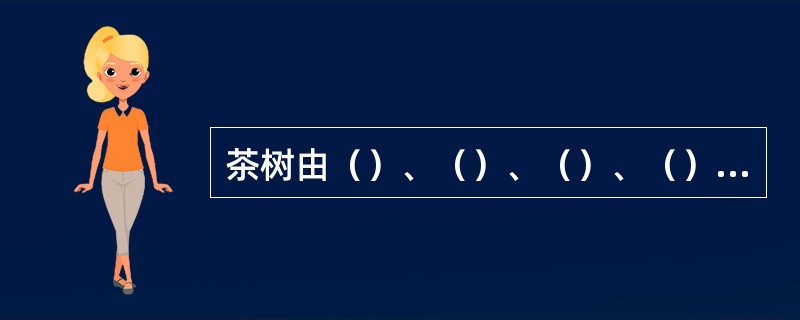 茶树由（）、（）、（）、（）、果实与种子组成。