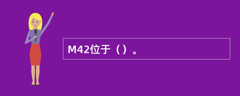 M42位于（）。