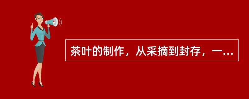 茶叶的制作，从采摘到封存，一共要经过几道工序？（）