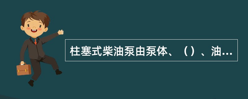 柱塞式柴油泵由泵体、（）、油量调整机构和输油泵等组成。