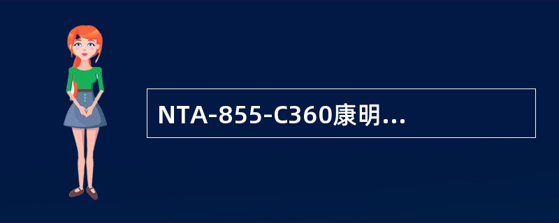 NTA-855-C360康明斯发动机的进气系统有哪些零件组成？