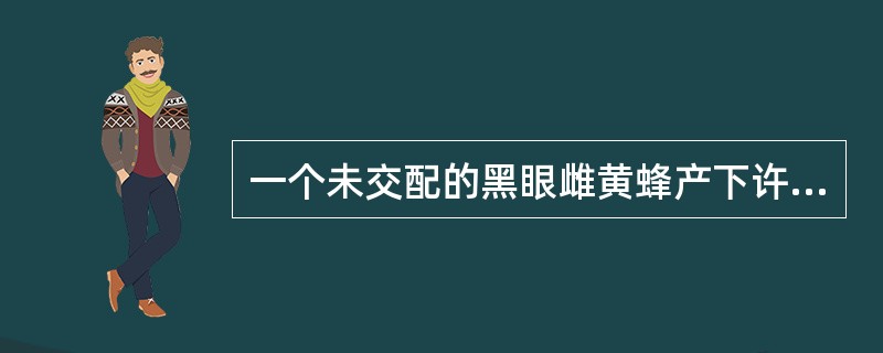 一个未交配的黑眼雌黄蜂产下许多卵，这些卵均发育为雄蜂，一半为黑色眼，一半为桔色眼