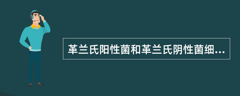革兰氏阳性菌和革兰氏阴性菌细胞壁成分有何差异？