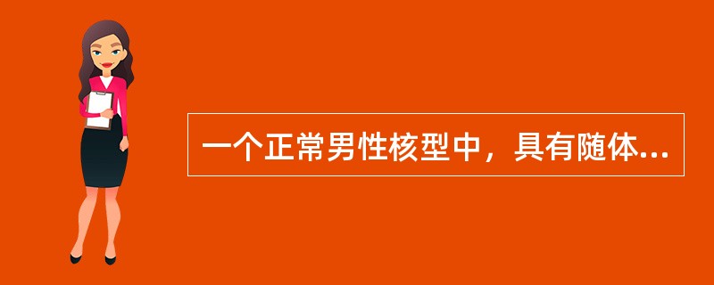 一个正常男性核型中，具有随体的染色体是（）。
