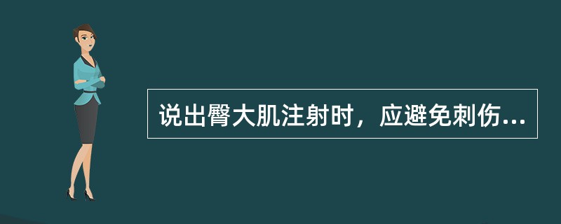 说出臀大肌注射时，应避免刺伤什么神经？