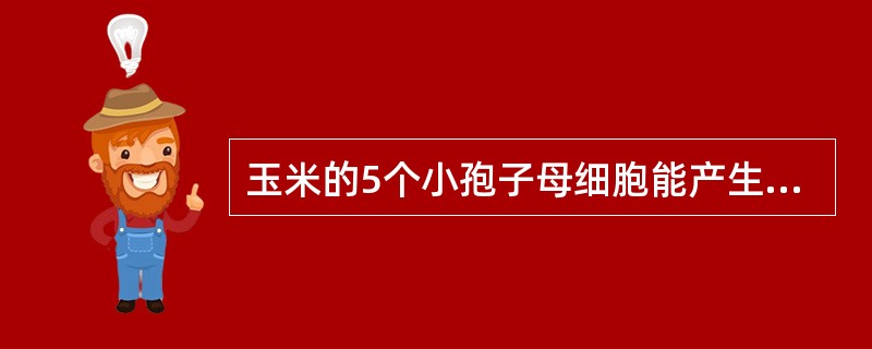 玉米的5个小孢子母细胞能产生（）精核。