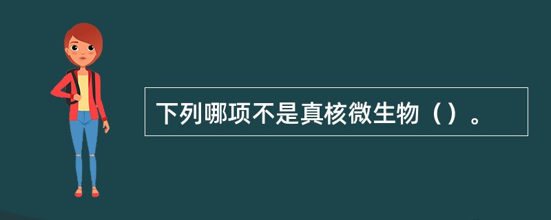 下列哪项不是真核微生物（）。