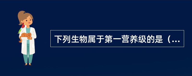 下列生物属于第一营养级的是（）。