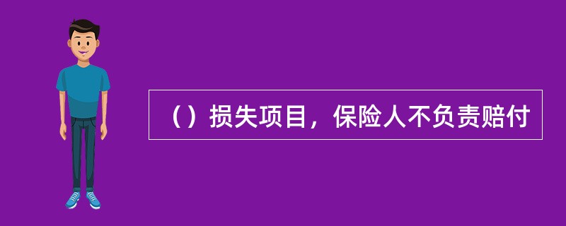 （）损失项目，保险人不负责赔付