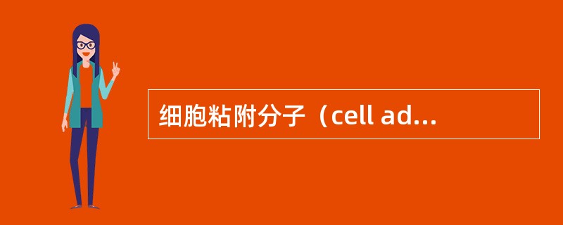 细胞粘附分子（cell adhesion molecules，CAM）