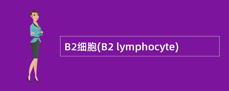 B2细胞(B2 lymphocyte)