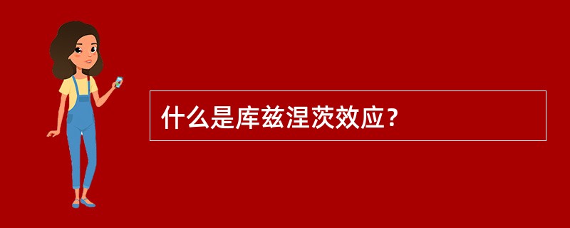 什么是库兹涅茨效应？