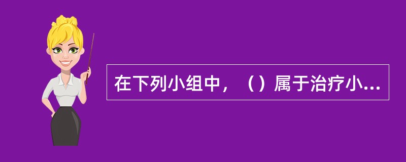 在下列小组中，（）属于治疗小组。