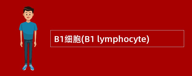 B1细胞(B1 lymphocyte)