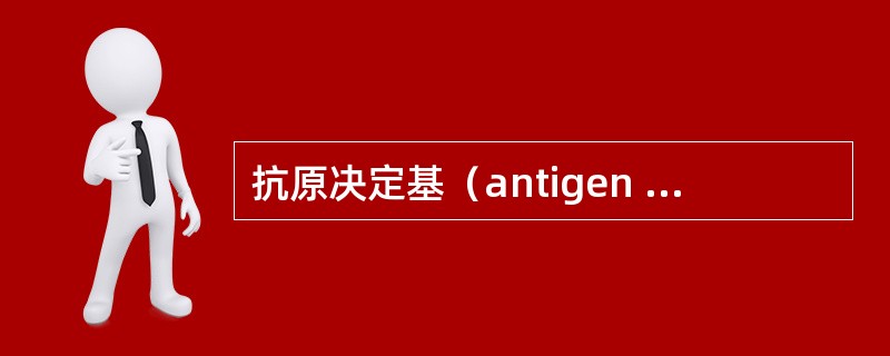 抗原决定基（antigen determinant）