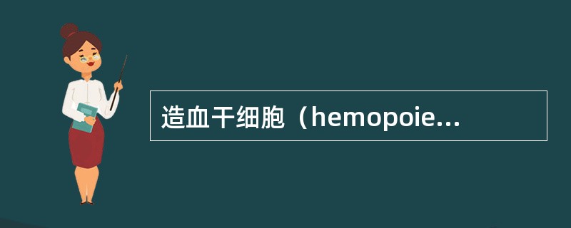 造血干细胞（hemopoietic stem cell）
