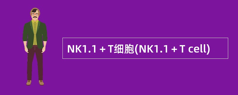 NK1.1＋T细胞(NK1.1＋T cell)