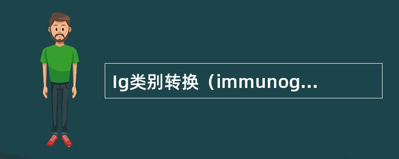 Ig类别转换（immunoglobulin class switch）