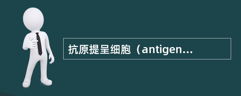 抗原提呈细胞（antigen presenting cell，APC）