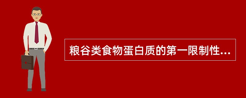 粮谷类食物蛋白质的第一限制性氨基酸为（）