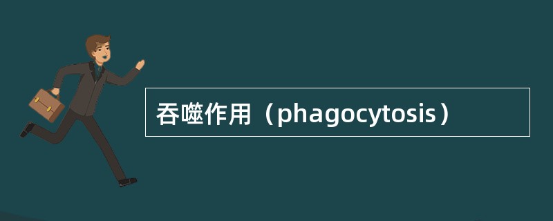 吞噬作用（phagocytosis）