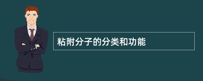 粘附分子的分类和功能