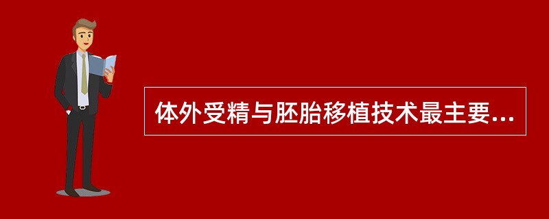 体外受精与胚胎移植技术最主要的适应证为（）