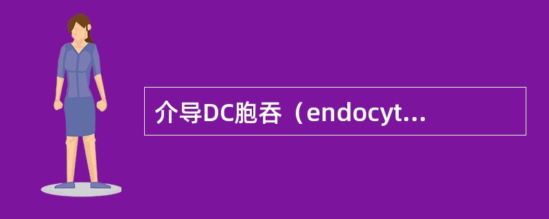 介导DC胞吞（endocytosis）的受体是（）。