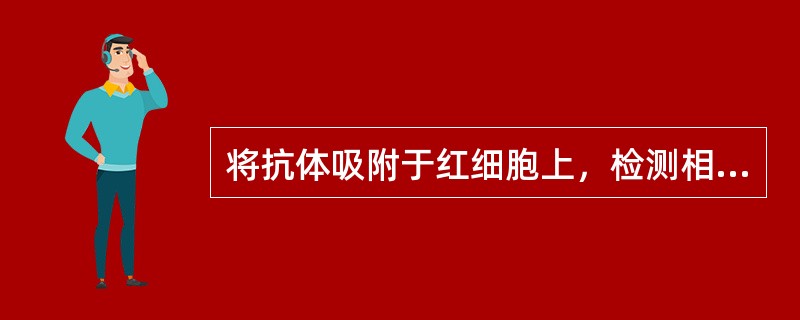 将抗体吸附于红细胞上，检测相应抗原的试验是（）。