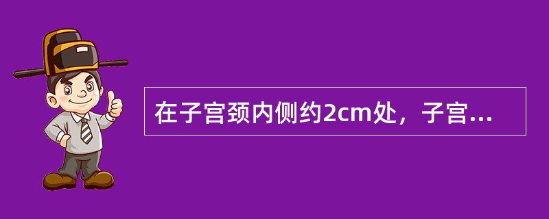 在子宫颈内侧约2cm处，子宫动脉自内侧向外跨越输尿管前方。（）