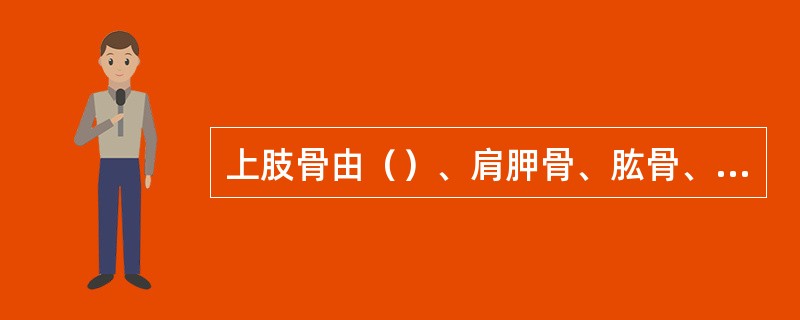 上肢骨由（）、肩胛骨、肱骨、桡骨、尺骨、手骨组成。