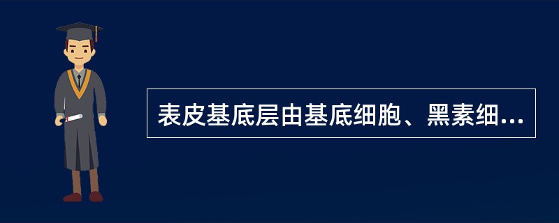 表皮基底层由基底细胞、黑素细胞和（）等组成。