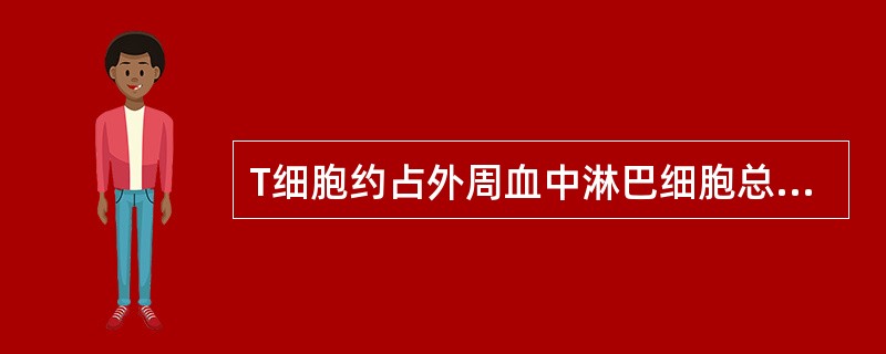 T细胞约占外周血中淋巴细胞总数的（）