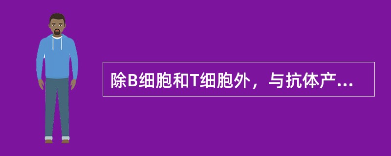 除B细胞和T细胞外，与抗体产生有关的细胞还有（）