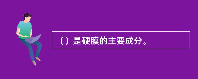 （）是硬膜的主要成分。