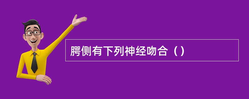 腭侧有下列神经吻合（）
