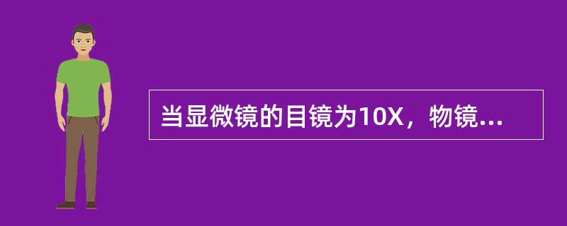 当显微镜的目镜为10X，物镜为10X时，在视野直径范围内看到一行相连的8个细胞。
