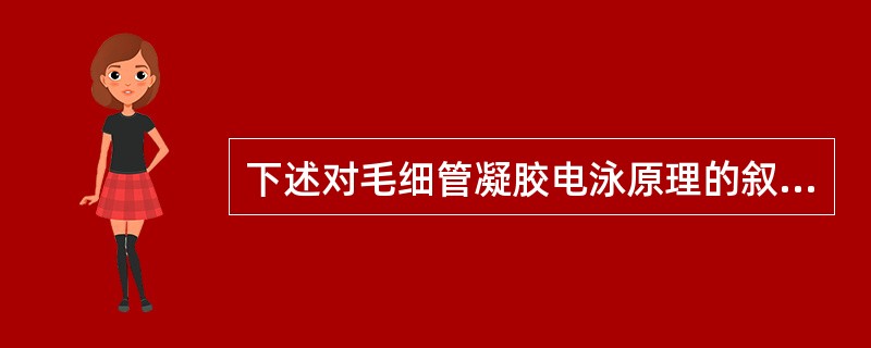 下述对毛细管凝胶电泳原理的叙述中，不正确的是（）。