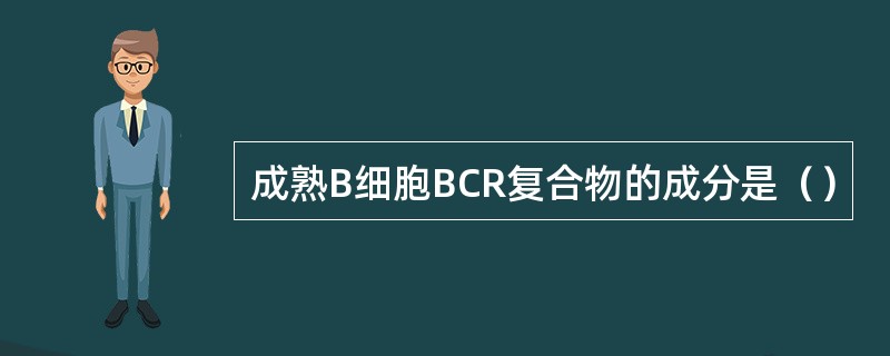 成熟B细胞BCR复合物的成分是（）