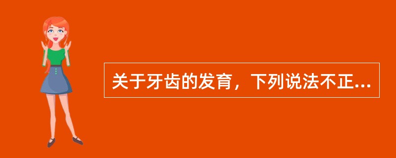 关于牙齿的发育，下列说法不正确的是（）