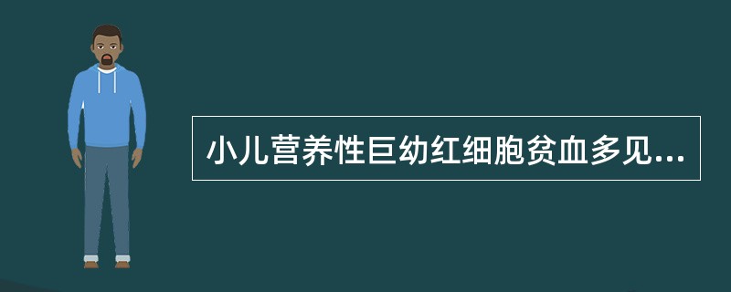 小儿营养性巨幼红细胞贫血多见于（）