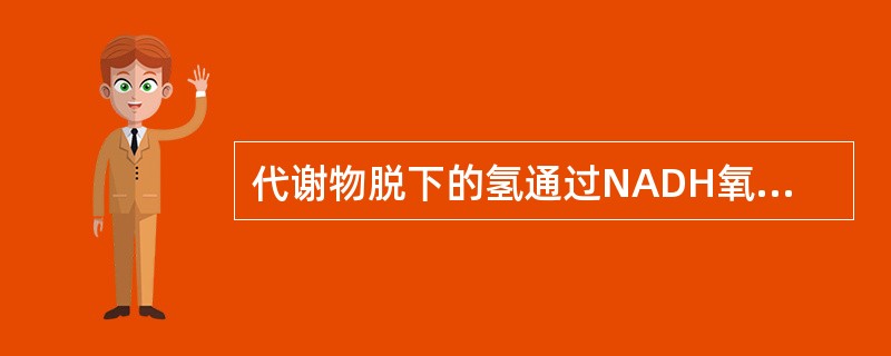 代谢物脱下的氢通过NADH氧化呼吸链氧化时，其P/O比值是（）。